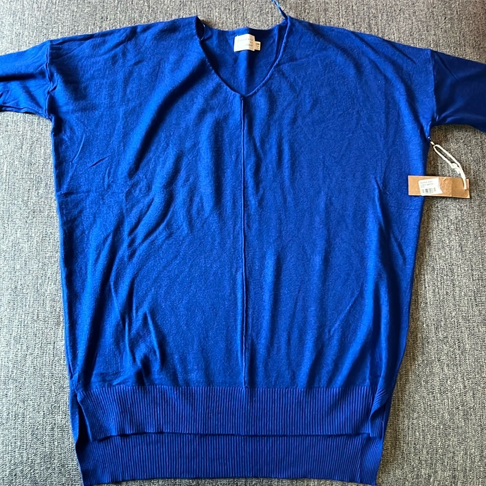 NWT Vneck sweater